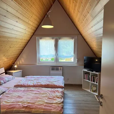 Vogel - Neufeld - Nordsee