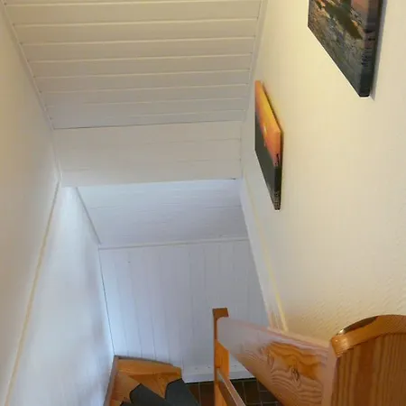 Vogel - Neufeld - Nordsee * Dorum-Neufeld