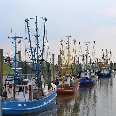 Ferienhaus Vogel - Neufeld - Nordsee *