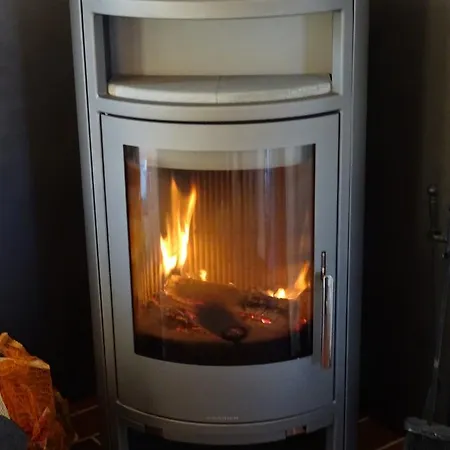 Vogel - Neufeld - Nordsee * Dorum-Neufeld