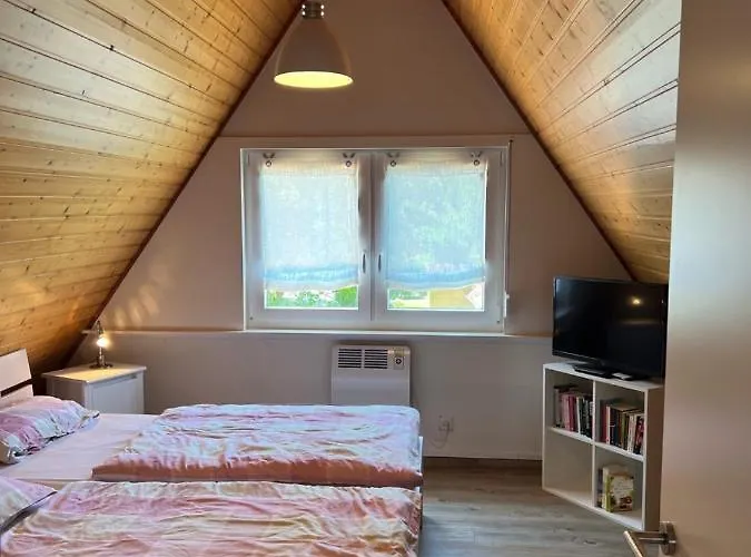 Vogel - Neufeld - Nordsee