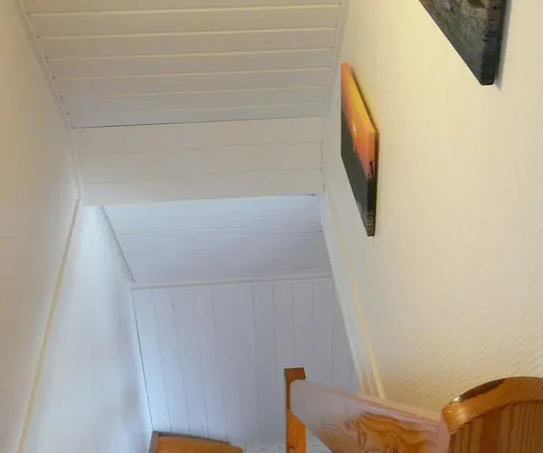 Vogel - Neufeld - Nordsee * دورم نيوفيلد