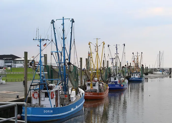 بيت للعطل Vogel - Neufeld - Nordsee *