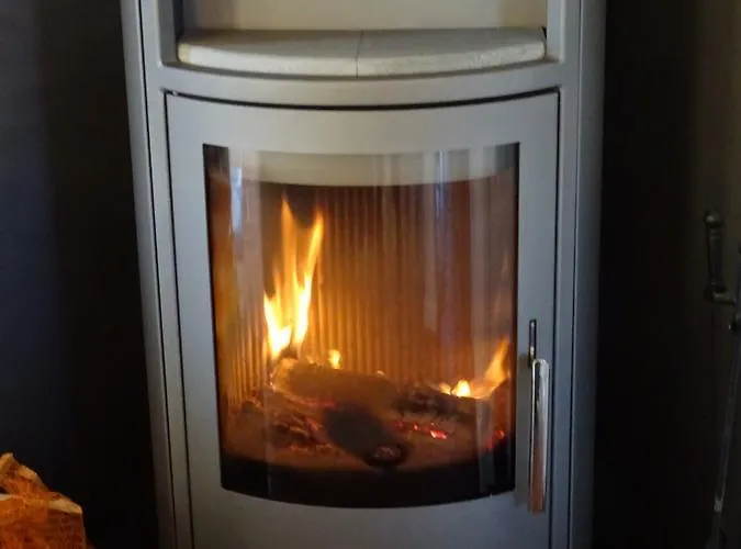 Vogel - Neufeld - Nordsee * دورم نيوفيلد